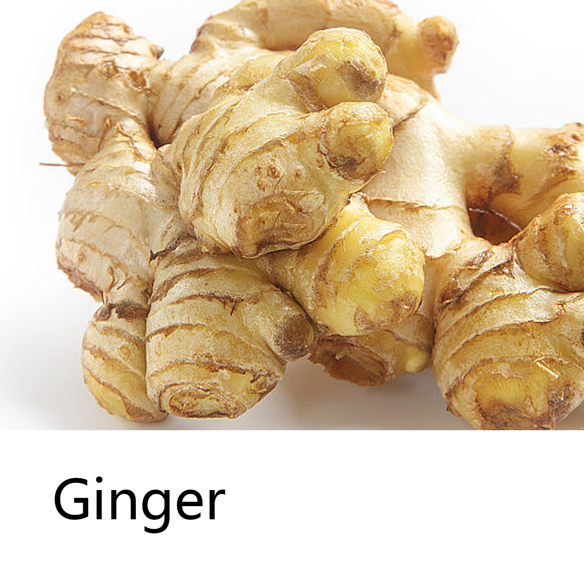Ginger Essential Oil Shampoo B - đánh giá và giá Hair Care Pantene
