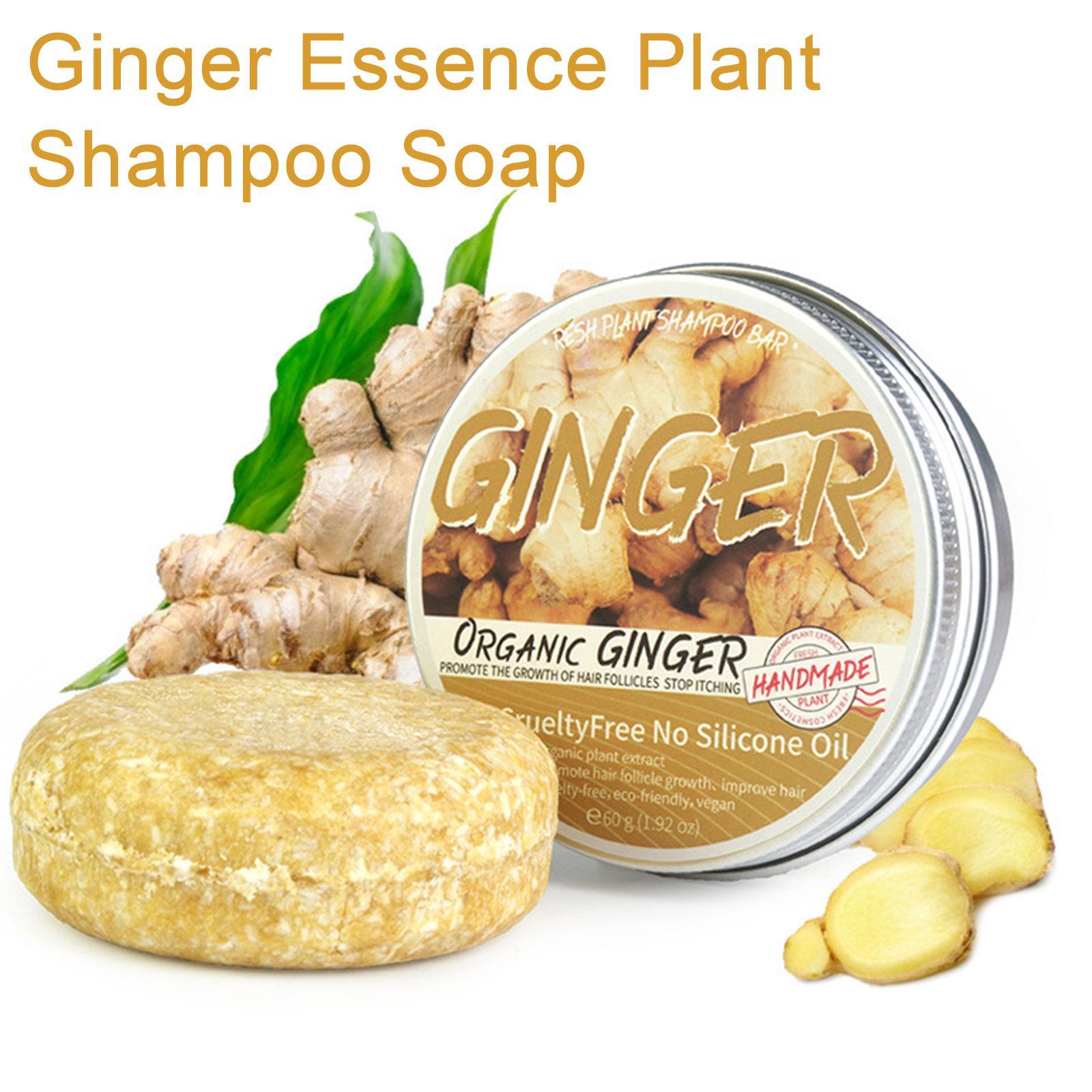 Ginger Polygonum Soap Shampoo  - đánh giá và giá Hair Care Pantene