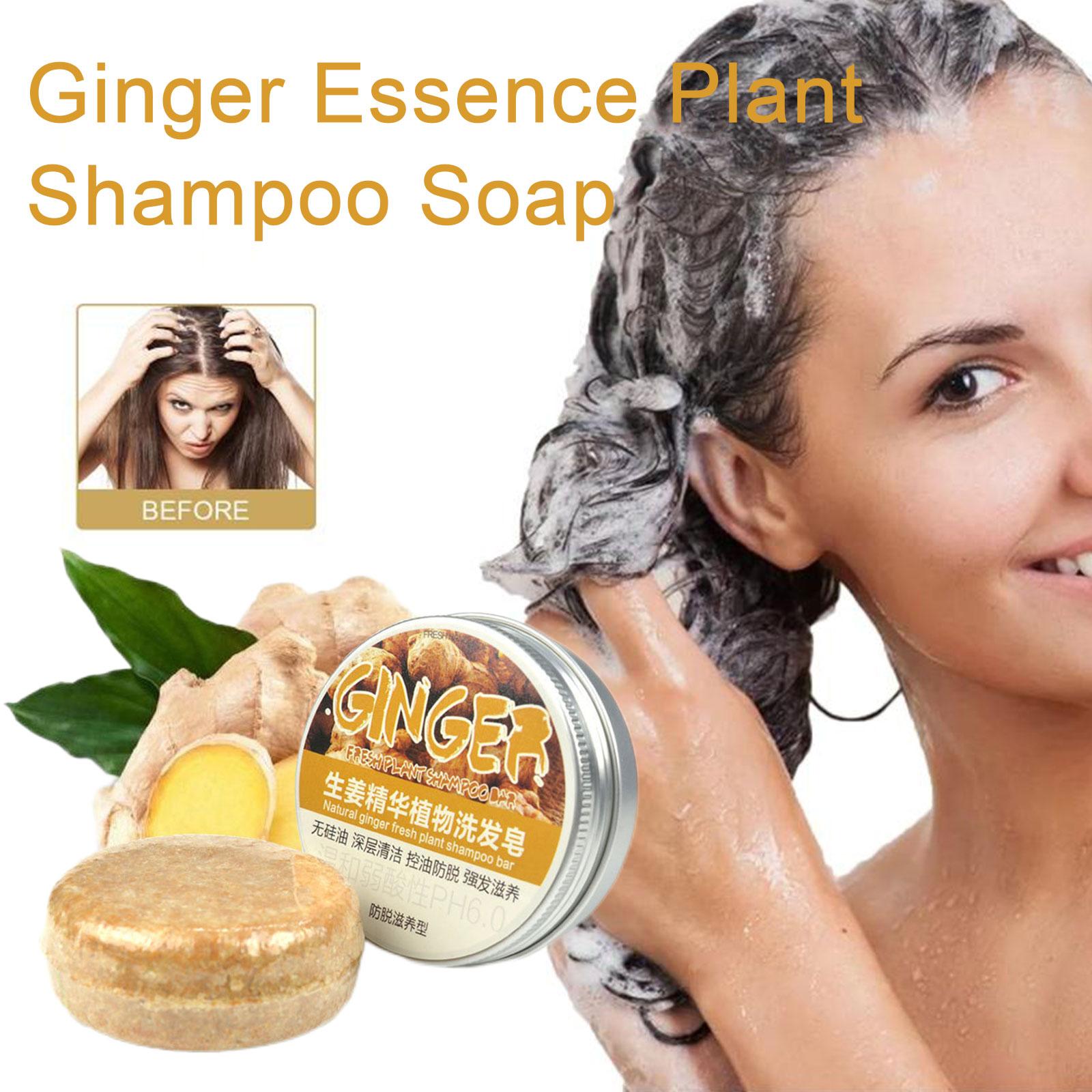 Ginger Polygonum Soap Shampoo  - đánh giá và giá Hair Care Pantene